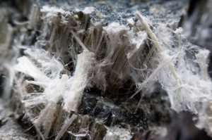 Asbestos Training